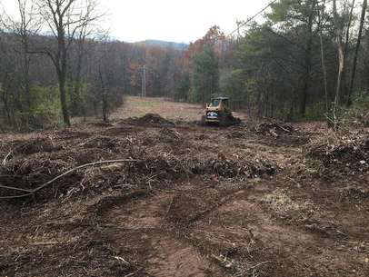Land Clearing Photo