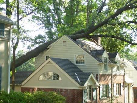 Storm Damage - tree on roof